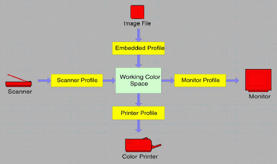 Basic color management image flow, courtesy Jonathan Sachs